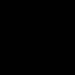 Meet your Posher, Lacey